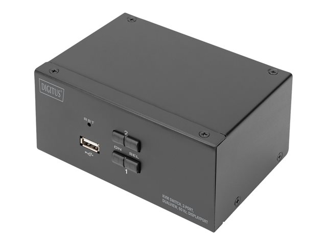 2Port Displayport DualView 60Hz 4K 60fp