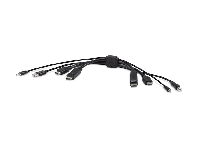 Belkin Secure KVM Combo Cable - Video / USB / audio cable - TAA Compliant - USB, mini jack, HDMI, DisplayPort (M) to USB Type B, mini jack, HDMI, DisplayPort (M) - 30.5 cm - passive, 4K support - black