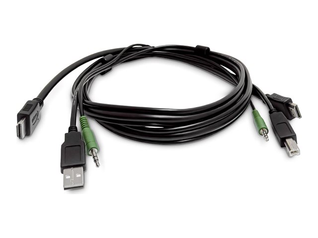 10ft (3m) HDMI KVM Cable USB 2.0