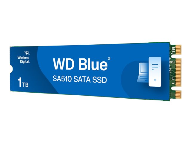 WD Blue SA510 WDS100T3B0B-00AXS0 - SSD - 1 TB - internal - M.2 2280 - SATA 6Gb/s