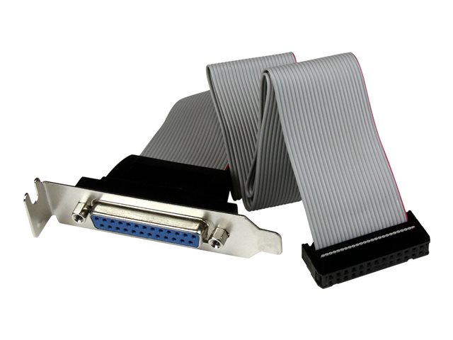 StarTech.com Low Profile 16in Parallel Port Header Cable Adapter w/ Bracket - DB25 to IDC26 Parallel Port Bracket DB-25 (F) to IDC 26 (F) (PLATE25F16LP) - Parallel panel - DB-25 (F) to 26 PIN IDC (F) - 40.64 cm - grey