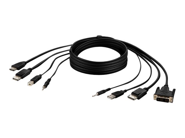 Belkin Secure KVM Combo Cable - Video / USB / audio cable - TAA Compliant - USB, mini jack, DVI-D, DisplayPort (M) to USB Type B, mini jack, HDMI, DisplayPort (M) - 3.05 m - passive, 4K support - black