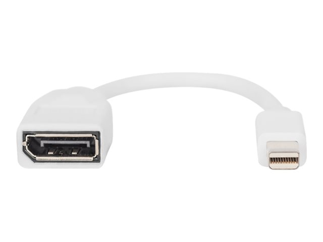 DisplayPort adapter cable mini DP - DP D