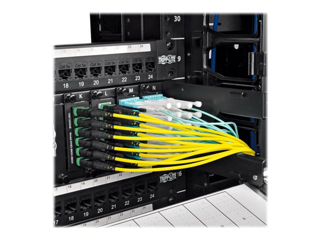 MTP/MPO APC to 4xLC UPC Singlemode B