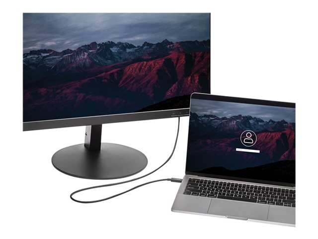 StarTech.com USB-C to DVI Cable - 6 ft / 2m - 1080p - 1920x1200 - USB-C DVI Monitor Cable - USB C Cable - Computer Monitor Cable (CDP2DVIMM2MB) - USB / DVI cable - 24 pin USB-C (M) to DVI-D (M) - Thunderbolt 3 / USB 3.1 - 2 m - 1920 x 1200 (WUXGA) support - black - for P/N: TB4CDOCK