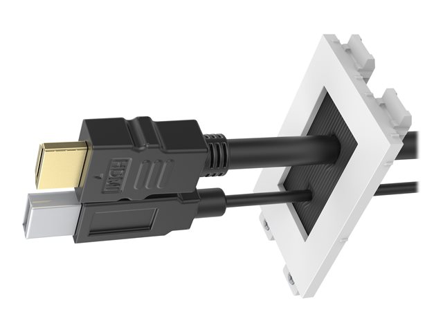 VISION Techconnect Modular AV Faceplate - LIFETIME WARRANTY - brush module - simple double-width module with hole for pulling cables out - brushes cover 42 x 22 mm / 1.7 x 0.9\" aperture - fixes into Techconnect surrounds - plastic - white