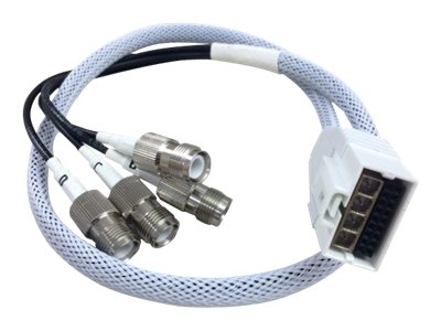 2 ft Smart Antenna Connector to RP-TNC