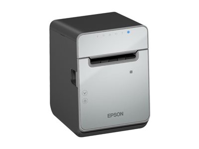 EPSON TM-L100 (103A0): USB ETHERNET PS U
