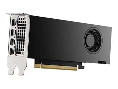 NVIDIA RTX 2000 Ada Generation - Graphics card - NVIDIA RTX 2000 Ada - 16 GB GDDR6 - PCIe 4.0 x8 - 4 x Mini DisplayPort