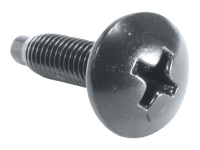 500PC 10-32 RUST RST SCW