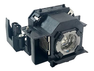 OEM: V13H010L34