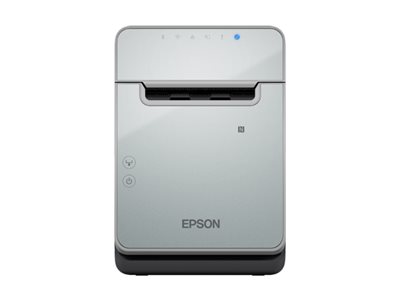 EPSON TM-L100 (103A0): USB ETHERNET PS U