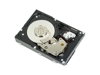 1.2TB HDD 10K 512n SAS12 2.5in with 3.5in HYB CARR Customer Kit