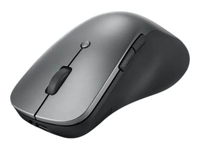 Lenovo Professional - Mouse - ergonomic - blue optical - 6 buttons - wireless - Bluetooth 5.1 - storm grey