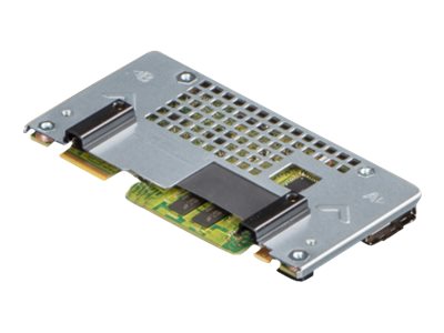 Dell PERC H755 - Customer Kit - storage controller (RAID) - SATA 6Gb/s / SAS 12Gb/s - RAID RAID 0, 1, 5, 6, 10, 50, 60 - PCIe 4.0