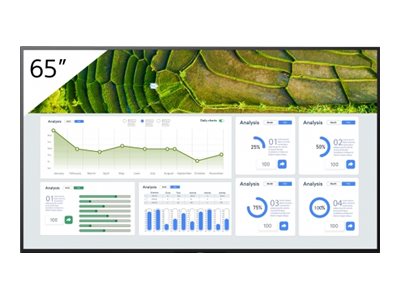 Sony 65\" Professional BRAVIA LCD 440nit display