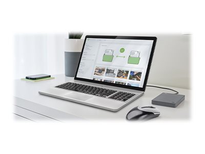 BASIC PORTABLE DRIVE 5TB