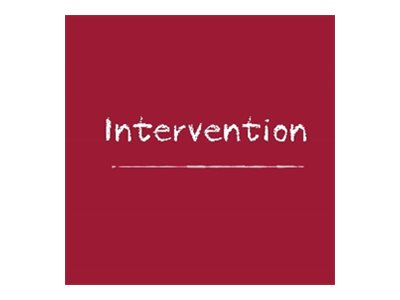 Eaton Intervention Product Line A - Technical support - preventive maintenance - on-site - for P/N: 9PX3000IRTBPF, 9PX3000IRTM, 9PX3000RT, 9SX2000I, 9SX3000I, 9SX5KI, 9SX6KI