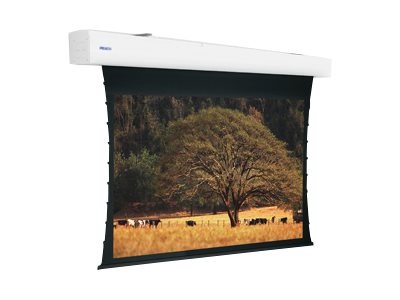 Da-Lite - Projection screen - motorised - 230 V - 176\" (447 cm) - 16:9 - white