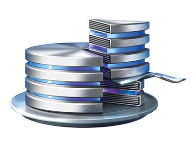 Acronis Disk Director 12.5 Server  Version Upgrade incl. Acronis Premium Customer Support ESD