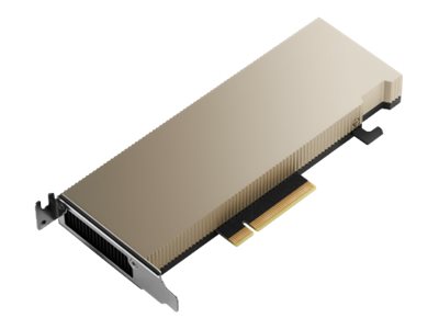 NVIDIA A2 - GPU computing processor - A2 - 16 GB GDDR6 - PCIe 4.0 x8 low profile - fanless - for ThinkSystem SR630 V2 7Z70, 7Z71, SR645 7D2X, 7D2Y