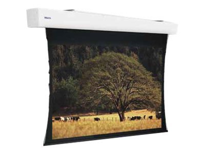 Projecta Tensioned Elpro Large Electrol HDTV Format - Projectiescherm - gemotoriseerd - 199\" (506 cm) - 16:9 - Matte White - RAL 9016, verkeerwit