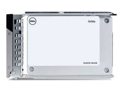 960GB Data Center NVMe Read Intensive AG Drive U2 Gen4 with carrier Customer Kit