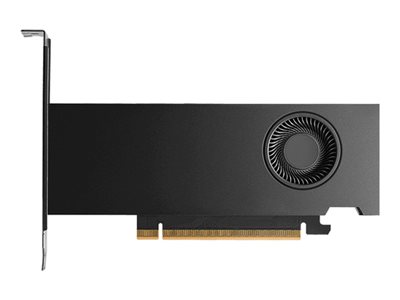 Dell NVIDIA RTX PRO 2000 Blackwell