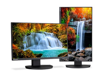 Sharp MultiSync EA242F - LED monitor - 23.8\" - 1920 x 1080 Full HD (1080p) @ 62 Hz - IPS - 250 cd/m² - 1000:1 - 6 ms - HDMI, VGA, DisplayPort, USB-C - speakers - black