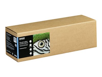 Fine Art Cotton Smooth Natural II 17\" x