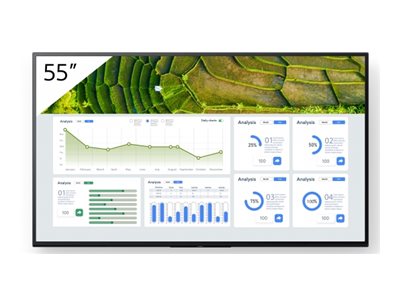 Sony 55\" Professional BRAVIA LCD 440nit display