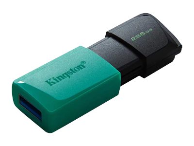 Kingston DataTraveler Exodia M - USB flash drive - 256 GB - USB 3.2 Gen 1