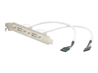 StarTech.com 2 Port USB A Female Low Profile Slot Plate Adapter - 2 Port USB Bracket - USB 2.0 A Female (USBPLATELP) - USB panel - USB (F) to 5 pin in-line (F)