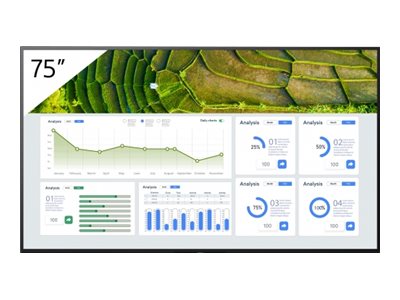 Sony 75\" Professional BRAVIA LCD 440nit display