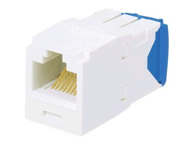 Panduit MINI-COM TX-6 10Gig - Modular insert - CAT 6 - UTP - arctic white - 1 port