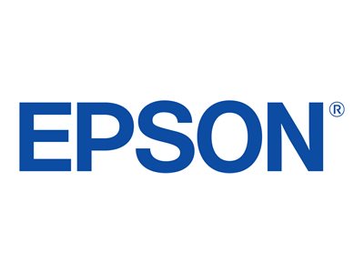 Epson FX 890II - Printer - B/W - dot-matrix - Roll (21.6 cm), JIS B4, 254 mm (width) - 240 x 144 dpi - 9 pin - up to 738 char/sec - parallel, USB 2.0