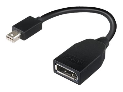 Lenovo - DisplayPort adapter - Mini DisplayPort (M) to DisplayPort (F) - 17.6 cm - for ThinkCentre M70, M75t Gen 2, M80, M90, ThinkStation P330 Gen 2, P34X, P350, P520, P620