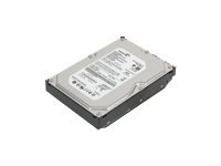 Lenovo - Hard drive - 1 TB - internal - 3.5\" - SATA 3Gb/s - 7200 rpm - buffer: 32 MB