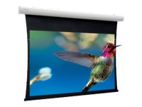 Projecta Tensioned Elpro Concept HD HDTV Format - Projection screen - ceiling mountable, wall mountable - motorised - 230 V - 158\" (402 cm) - 16:9 - HD Progressive 1.3 - RAL 9016