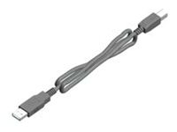ZD621 DT 203dpi USB Host LAN