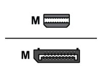 AMD - DisplayPort adapter - Mini DisplayPort (M) to DisplayPort (M)