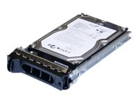 500GB 7.2K PE 900/R SERIES 3.5IN SATA W/ CADDY