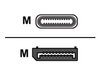 Avocent SwitchView 3M (10ft) USB-C (PC)