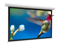 Projecta Elpro Concept Wide Format - Projection screen - ceiling mountable, wall mountable - motorised - 230 V - 88\" (224 cm) - 16:10 - Matt White - RAL 9016, traffic white