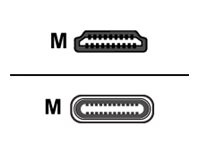Crestron FT2A-CBL-PT Series - Adapter cable - 24 pin USB-C male to HDMI male - 2.4 m - 4K support - for P/N: FT2-202-ELEC-PTL-B, FT2-500-ELEC-PTL-B