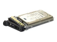 146GB 15K RPM80-PIN SCSI HD KIT IN