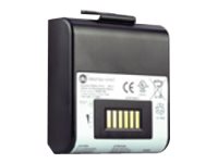 Battery Smart RP4D LED