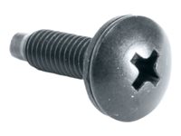 100PC 10-32 RACK SCREWS W