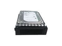 Lenovo Gen5 Enterprise - Hard drive - 2 TB - hot-swap - 3.5\" - SAS 12Gb/s - 7200 rpm - for ThinkServer RD350 (3.5\"), RD450 (3.5\"), RD550 (3.5\"), RD650 (3.5\"), TD350 (3.5\")