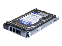2TB 7.2K P/Edge R/T x10 Series 3.5in Nea